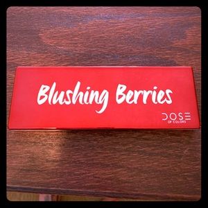 Eye shadow palette- Blushing Berries